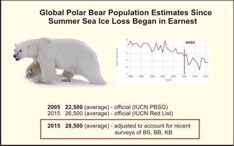 bears statistics today